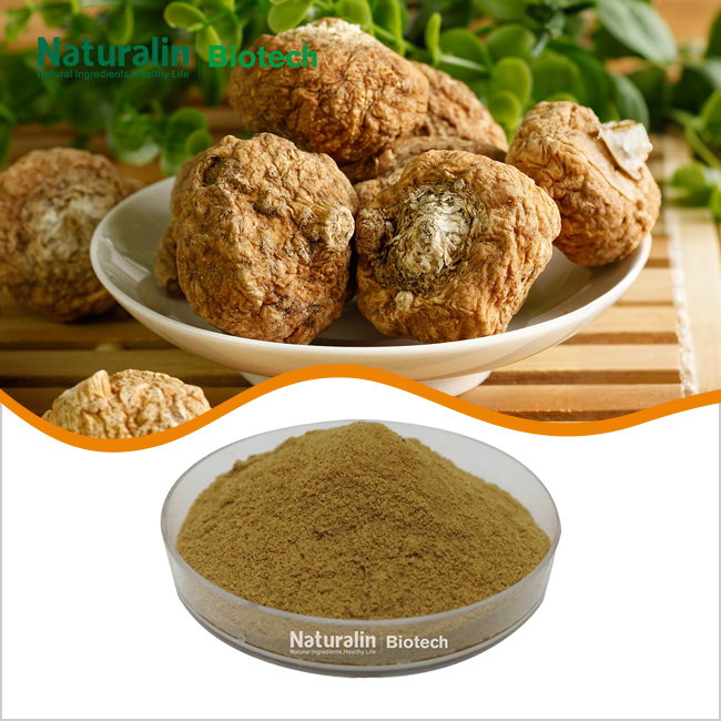 Maca Root Extract Powder Maca Root Extract Powder